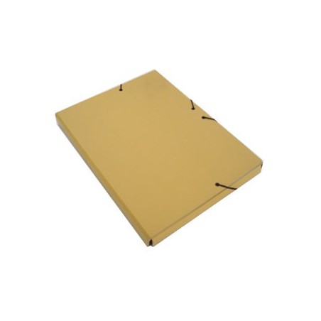 Pasta Cartao Hidraul L25 310x235 Abas/Elast Carto 193C Amare