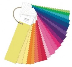Pantone - PANTONE fashion+home nylon brights set