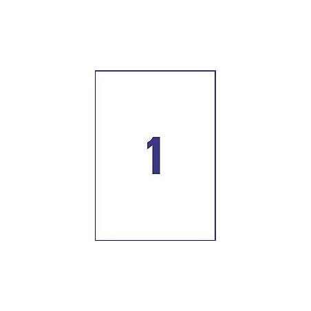 Avery - L7567-25 (Etiquetas 1/folha - Clear)