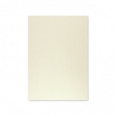 Cartolina A4 Cinzento 9 180g 125 Folhas