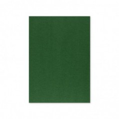 Cartolina A4 Verde Escuro 3C 250g 125 Folhas