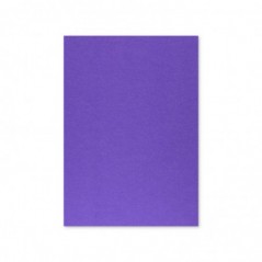 Cartolina A4 Violeta/Roxo 7V 250g 125 Folhas
