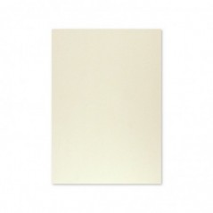 Cartolina A4 Cinzento 9 250g 125 Folhas