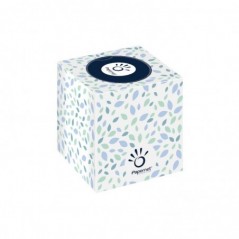 2un Lenços Papel Facial Papernet 419583 Cubo 20x19.9cm 88un
