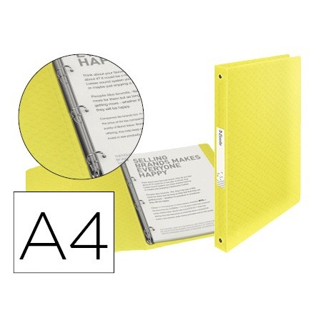 CARPETA ESSELTE 4 ANILLAS 25 MM DIN A4 COLOUR ICE POLIPROPIL