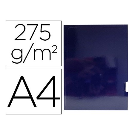 25un CLASSIFICADOR DE CARTOLINA GIO PLASTIFICADA APRESENTACA