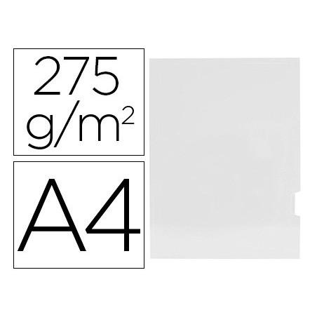 25un CLASSIFICADOR DE CARTOLINA GIO PLASTIFICADA PAPRESENTAC