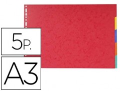 SEPARADOR EXACOMPTA CARTOLINA BRILHO CONJUNTO DE 5 SEPARADOR