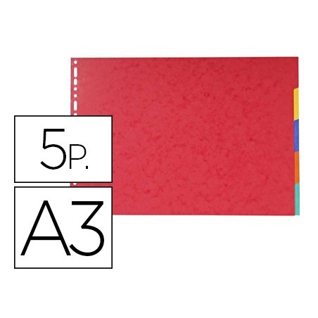 SEPARADOR EXACOMPTA CARTOLINA BRILHO CONJUNTO DE 5 SEPARADOR