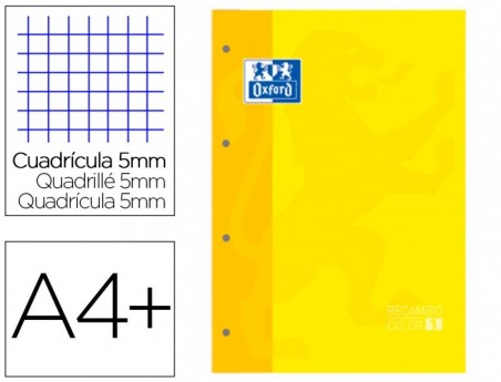 RECARGA COR 1 OXFORD DIN A4+ 80 FOLHAS 90 GR QUADRICULA 5 MM
