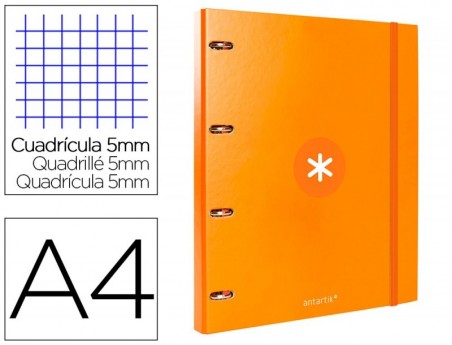 PASTA LIDERPAPEL ANTARTIK COM RECARGA DIN A4 QUADRICULA 5MM