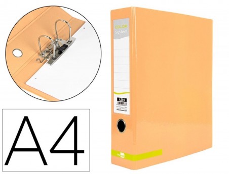 PASTA DE ARQUIVO DE ALAVANCA LIDERPAPEL COLOR SYSTEM CARTAO