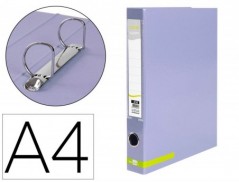 PASTA DE ARQUIVO LIDERPAPEL COLOR SYSTEM CARTAO FORRADO DIN