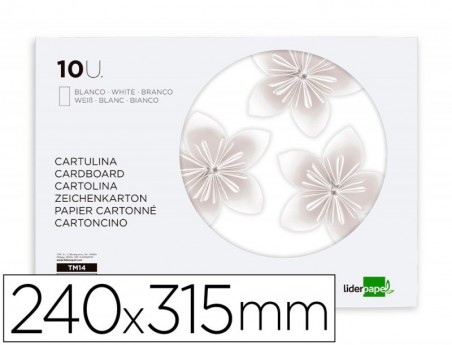BLOCO TRABALHOS MANUAIS LIDERPAPEL CARTOLINA 240X315MM 10 FO