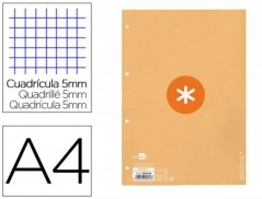 RECARGA COLADA LIDERPAPEL ANTARTIK QUADRICULA 5MM DIN A4 80