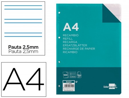 RECARGA LIDERPAPEL DIN-A4 100F PAUTA 5- 4 FUROS COM MARGEM P