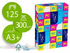PAPEL FOTOCOPIADORA COR COPE MATE DIN-A3+ 300 GRAMAS PACK 12