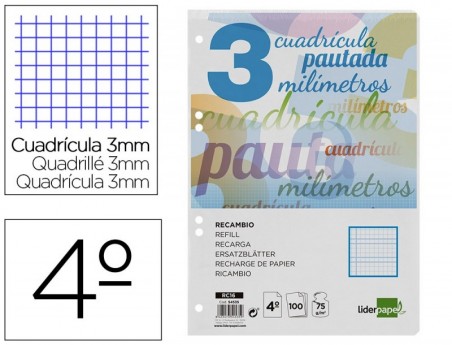 RECAMBIO LIDERPAPEL CUARTO 100 H CUADRICULADO PAUTADO 3 MM 6