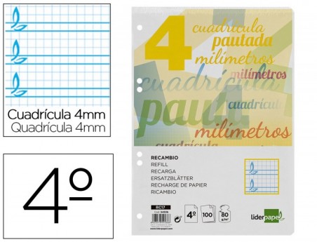 RECAMBIO LIDERPAPEL CUARTO 100 H CUADRICULADO PAUTADO 4 MM 6