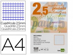 RECAMBIO LIDERPAPEL FOLIO 100 H 4 TALADROS 70 GR CUADRICULAD