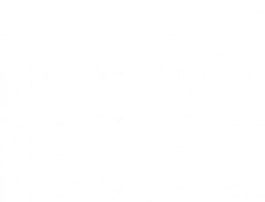 CHA VERDE SABOR MENTA 20 SAQUETAS