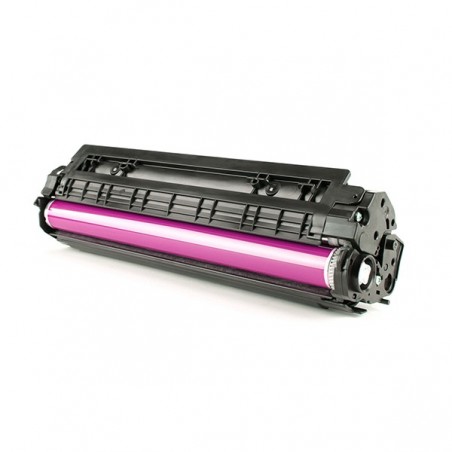 LEXMARK TONER MAGENTA PROG DEV 15K PROMO