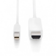 DIGITUS  CABO ADAPTADOR MINI DISPLAYPORT 1.2 - HDMI A M/M 2.