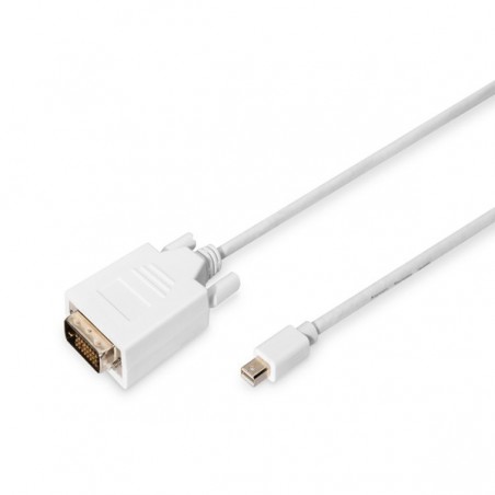 DIGITUS  CABO ADAPTADOR MINI DISPLAYPORT 1.1A - DVI24+1 M/M