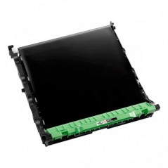 BROTHER CORREIA BU223CL