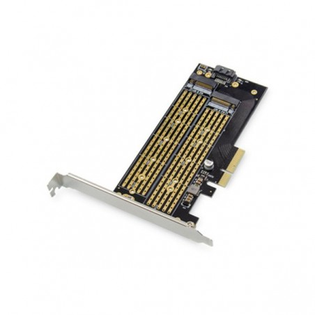 DIGITUS PLACA REDE PCI EXPRESS ADD-ON M.2 NGFF/NVMe SSD (x4)