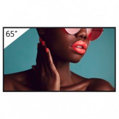 SONY BRAVIA MONITOR PROFISSIONAL IPS 65" UHD 4K 700CD 24/7 A