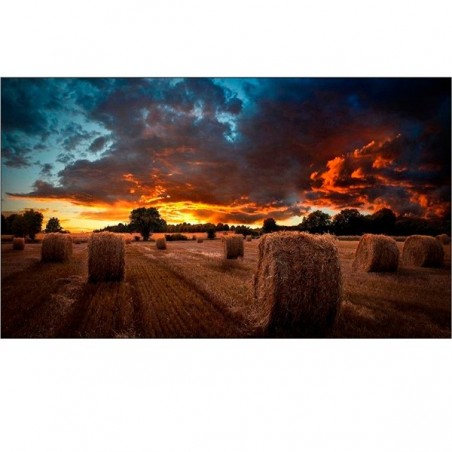 SAMSUNG DISPLAY PROFISSIONAL LFD 46" VM46B-U FH -500 cd 24/7