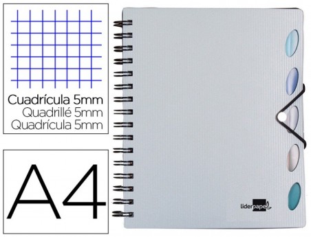CADERNO ESPIRAL LIDERPAPEL EXECUTIVE 100 FLS A4 PRATA QUAD