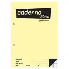 Caderno Diario Quadriculado 25x17,6 (B5) 40fls 60grs 1un