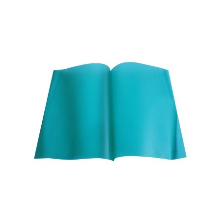 Classificador Plastico Transparente Durable 2919 Verde - 1un