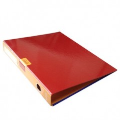 AMBAR Pasta Arquivo Simple Colours L/E Din Sortido Arquivo e