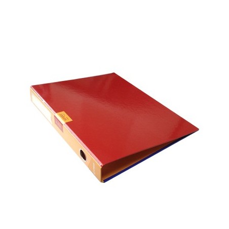 AMBAR Pasta Arquivo Simple Colours L/E Din Sortido Arquivo e