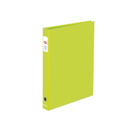 Pasta Arquivo Ambar School L/E Din Verde Alface