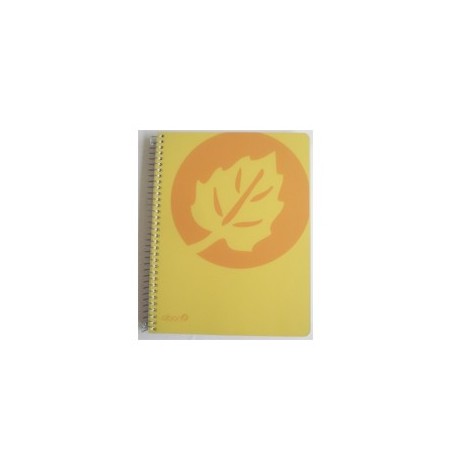 Caderno Espiral Polipropileno A5 Quad c/Furos 120Fls / Papei