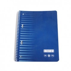 Caderno Espiral EnriStatus A5 Quadriculado 80 Fls 70gr / Esc