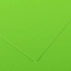 Cartolina 250gr 25Folhas 50x65cm Canson Iris Verde Fluores