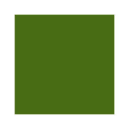 Cartolina 185gr 50 Folhas A4 Canson Iris Verde Safari