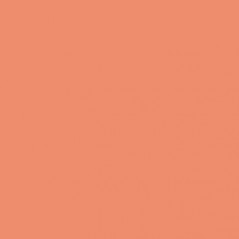 Cartolina 240gr 25Folhas 50x65cm Canson Iris Coral