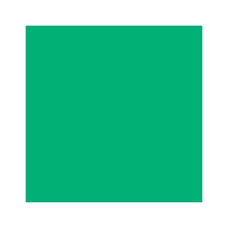 Cartolina 240gr 25Folhas 50x65cm Canson Iris Verde Hortela