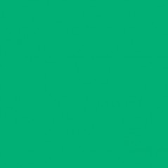 Cartolina 240gr 25Folhas 50x65cm Canson Iris Verde Safari