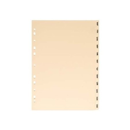 Separadores Cartolina 12 (Jan a Dez) / Arquivo e Organizacao