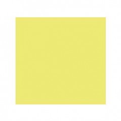 Cartolina 240gr 25Folhas 50x65cm Canson Iris Kiwi