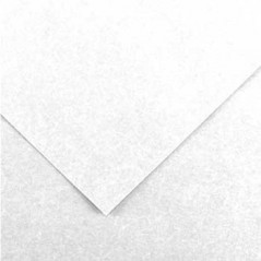 25un Cartolina 185gr 1 Folha 50x65cm Canson Iris Branco