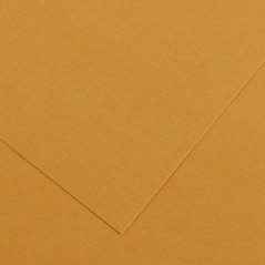 25un Cartolina 185gr 1 Folha 50x65cm Canson Iris Couro