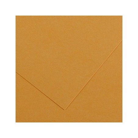 25un Cartolina 185gr 1 Folha 50x65cm Canson Iris Couro